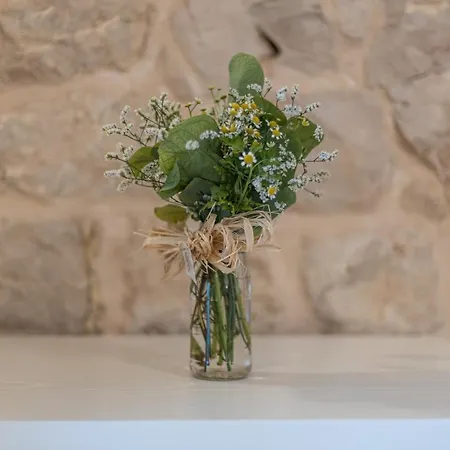 Πανσιόν Dimora Le Site 4*